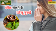 Ayurvedic Nuskhe बारिश में भीगने के बाद बार-बार आ रही छींक तो तुरंत आराम दिलाएंगे ये असरदार घरेलू उपाय