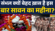 Sambhal Sawan News इस बार संभल में बहुत सावन खास है Hindi News UP News Sambhal News