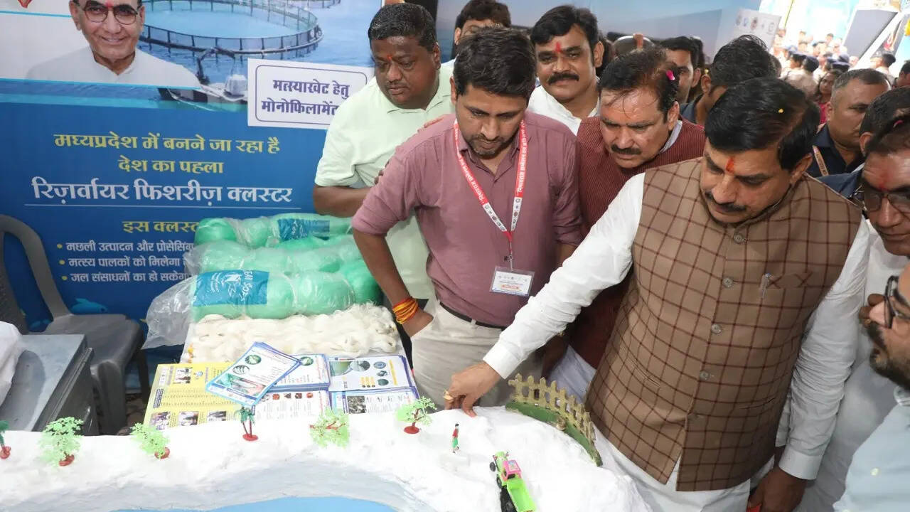 MP CM.