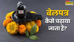 सीधा या उल्टा शिवलिंग पर कैसे चढ़ाया जाता है बेलपत्र जानें कितने बेलपत्र चढ़ाना है शुभ