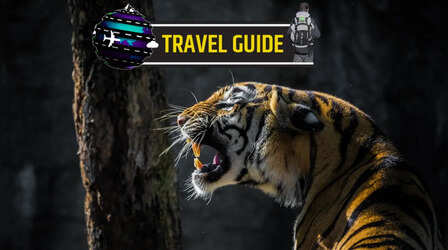Travel Guide: बाघों की धरती जिम कॉर्बेट, मिलेगा टाइगर स्पॉटिंग और एडवेंचर का असली मजा