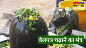 Bel Patra 108 Mantra 108 बेलपत्र चढ़ाते हुए पढ़ें ये 108 मंत्र खुश होंगे भोलेनाथ देखें बिल्वपत्र चढ़ाने के 108 मंत्र