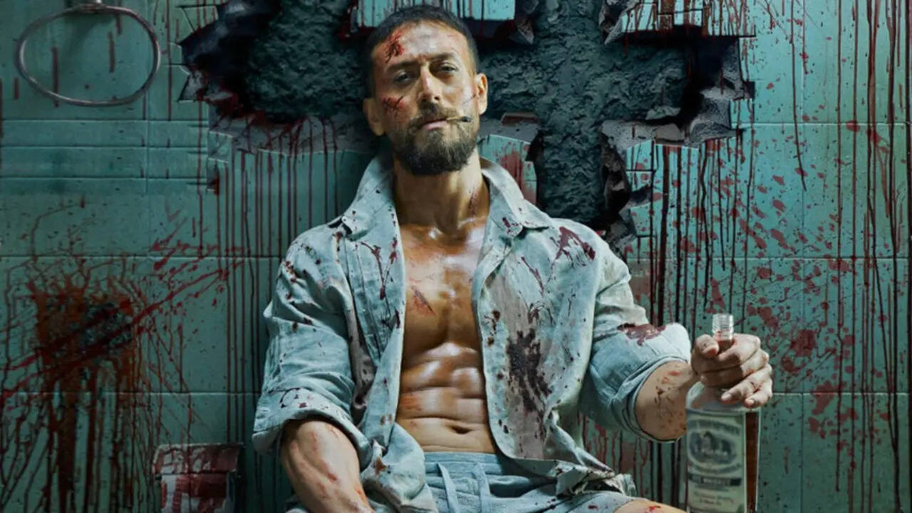 baaghi 4 source-instagram