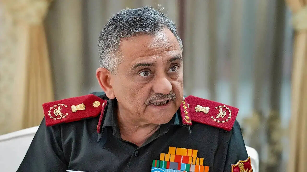 CDS General Anil Zhuhan