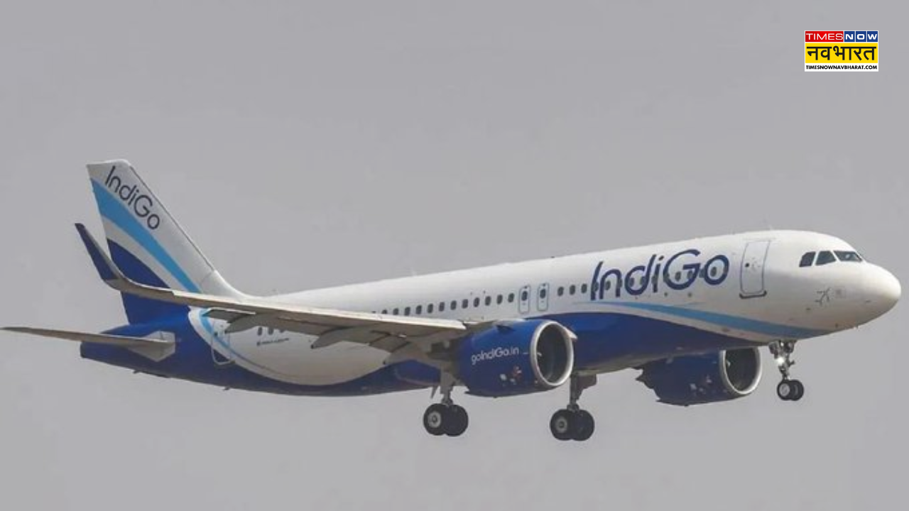 Indigo Flight