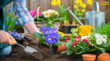 Gardening Tips फूल-खुशबू से भर जाएगा आपका बागान बारिश वाले मौसम में बस लगा लें ये 3 पौधे