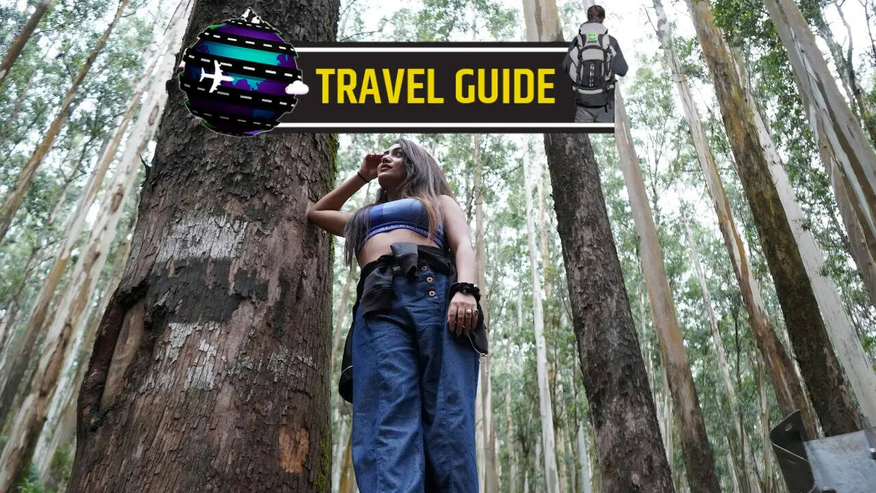 Ooty Travel Guide (image credit-canva)