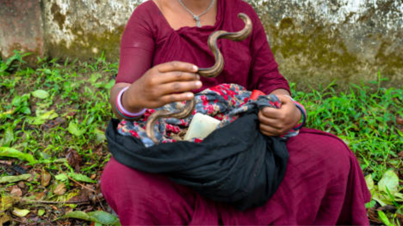 La mujer mordió la serpiente. (Etiqueta de fotos: Istock)