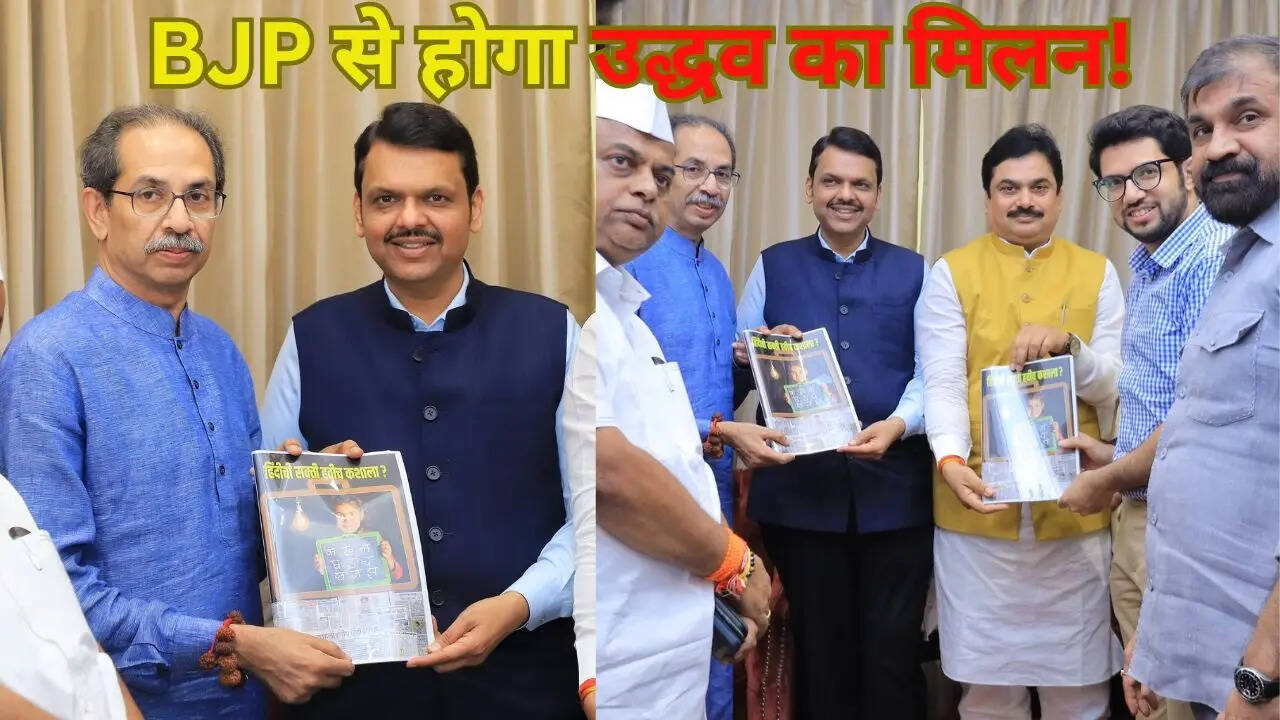 Fiesta bharatia jatata