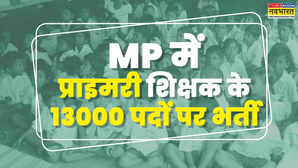 MP Teacher Vacancy 2025 शिक्षक बनने का बंपर मौका 13000 पदों पर निकली नौकरी जानें पात्रता आयु फीस सैलरी व सब कुछ