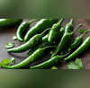 अब महीनों तक खराब नहीं होगी हरी मिर्च इस तरह करें स्टोर जान लें Green Chilli को लंबे समय तक फ्रेश रखने का तरीका