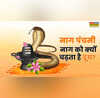 Nag Panchami 2025 नाग पंचमी पर सांप को दूध क्यों चढ़ाया जाता है शास्त्र से जानें पूरा सच