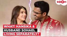 Hansika Motwani और Sohael Khaturia के रिश्ते में आई दरार शादी के ढाई साल बाद हो रहे हैं अलग
