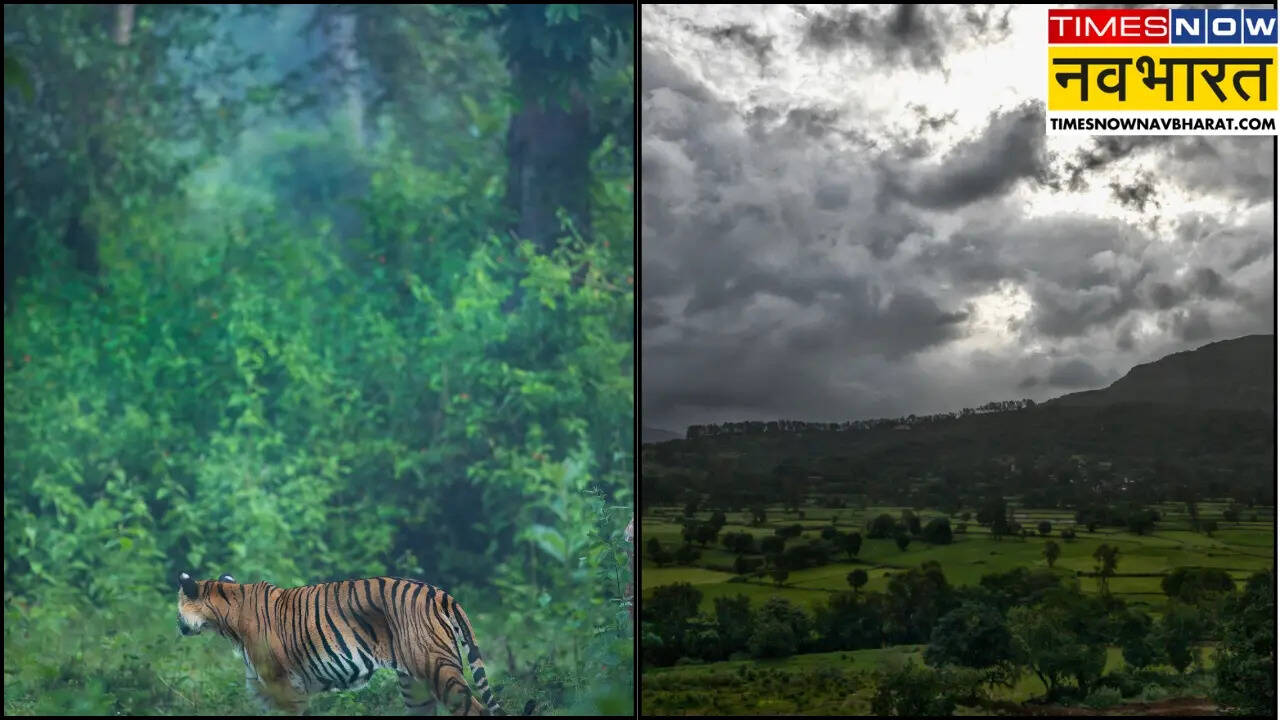 Northeast India during monsoon