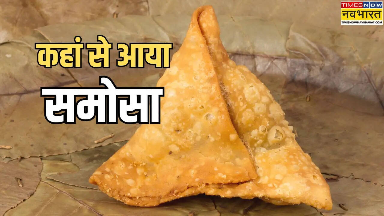 Samosa Kahan se aa hai
