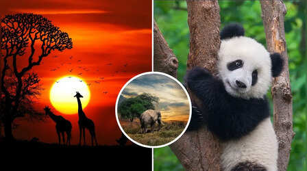 मेघों के बीच बसा पूर्वोत्तर का स्वर्ग, प्रकृति प्रेमियों के लिए जन्नत है ये ट्रैवल डेस्टिनेशन