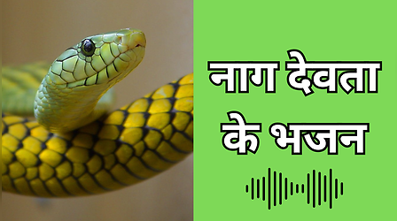 Nag Panchami Ke Gana: नाग पंचमी के दिन जरूर सुनें नाग देवता के ये भजन, देखें नाग पंचमी के गाने