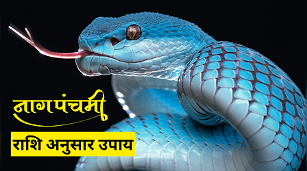 पंडित जी से जानें राशि के अनुसार उपाय, नाग पंचमी के दिन मिलेगा कालसर्प दोष से छुटकारा