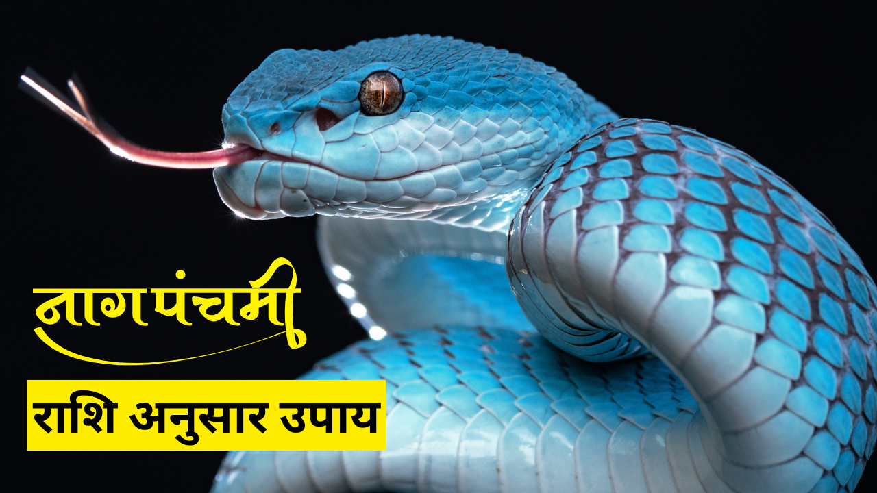 Compensación según el signo del zodiaco de Nag Panchami (Fuente de fotos: Canva)