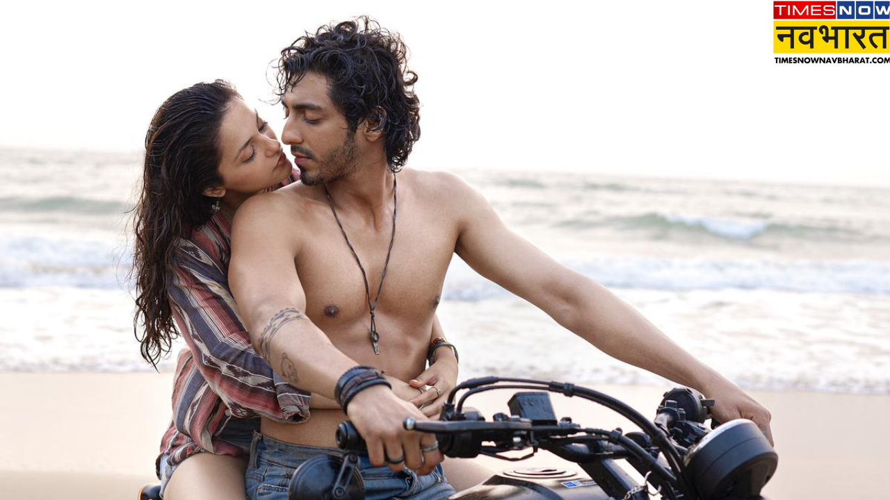 Saiyaara Box Office Collection Day 14 Report