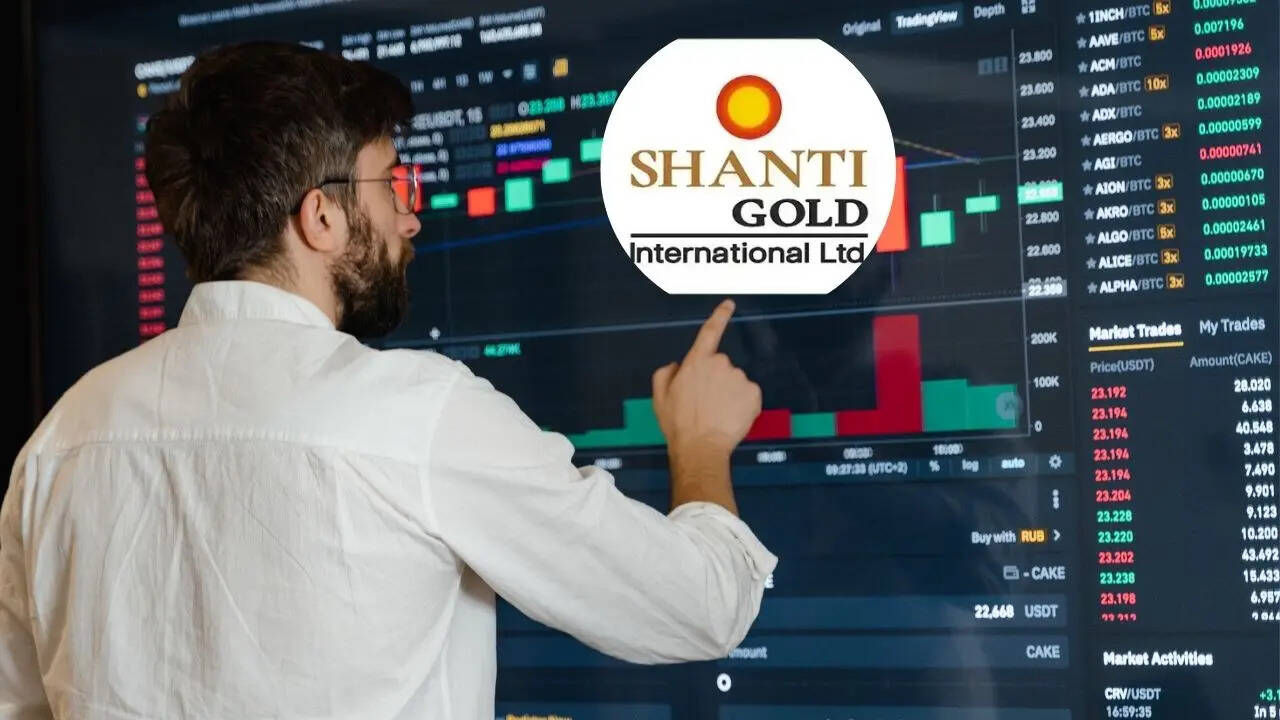 Shanti Gold Share Price