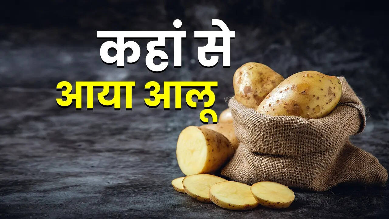 ¿De dónde vino la India?