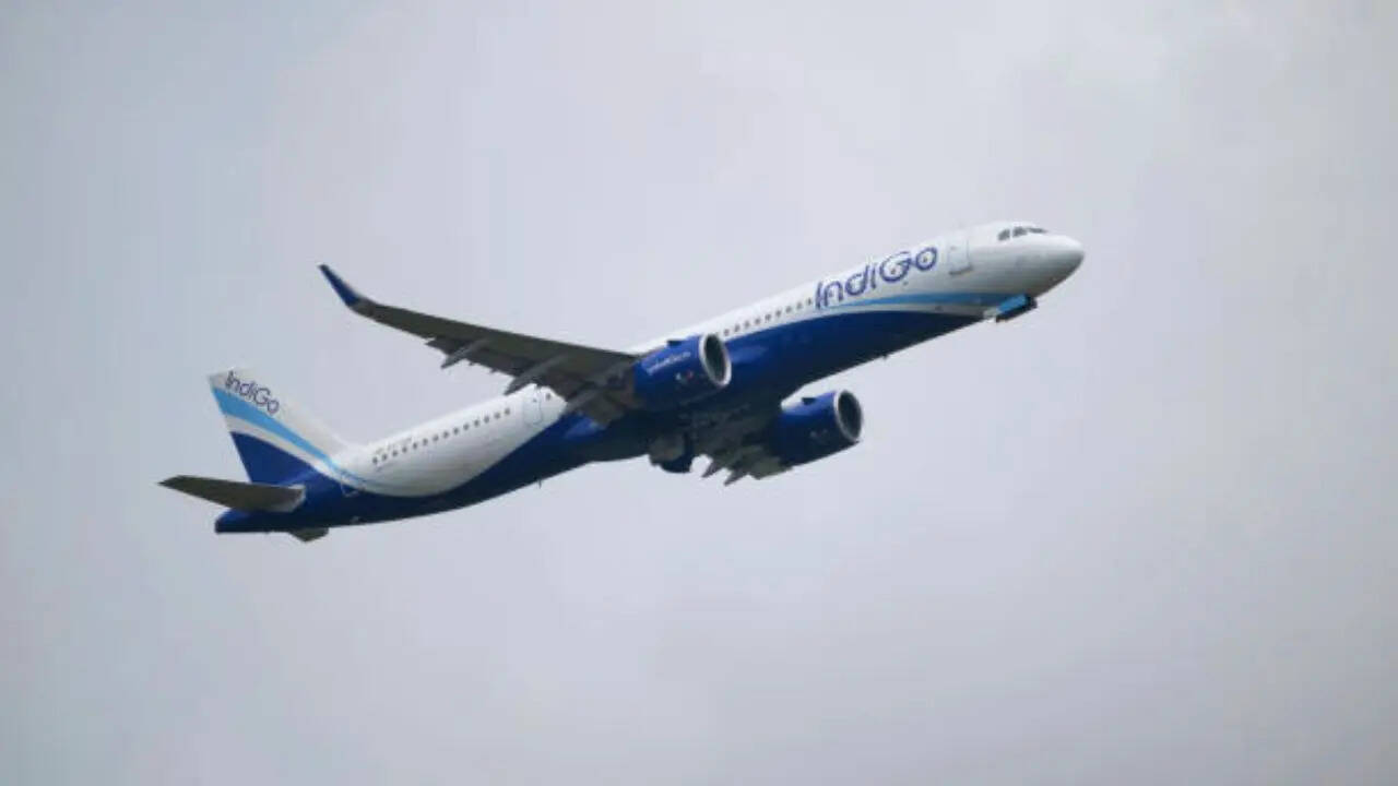 Índigo