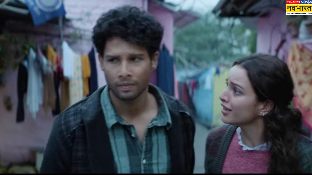 dhadak 2 Box Office Collection