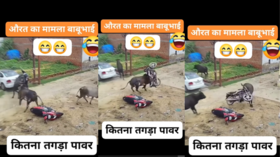 Today Viral Video सांड बना बाहुबली बीच सड़क बाइक को ऐसे पटका देखकर निकल जाएगी चीख