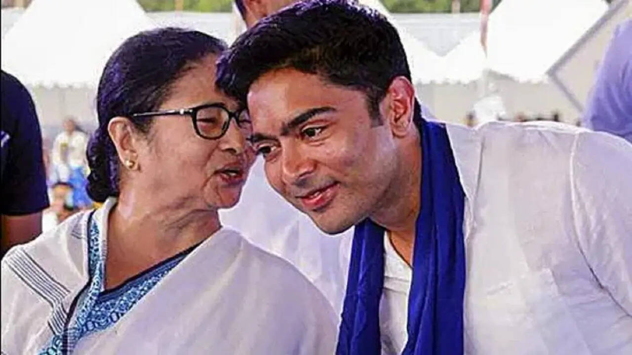 Mamata Panerry