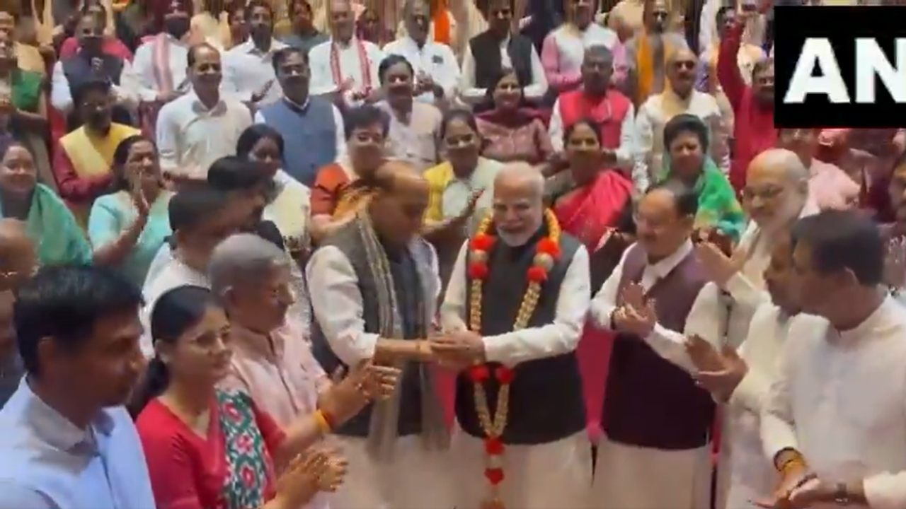 MODI Felited
