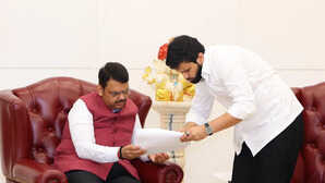 Maharashtra कोल्हापुर मठ लौटेगी हथिनी माधुरी स्वास्थ्य का भी रखा जाएगा ध्यान CM फडणवीस ने दी जानकारी