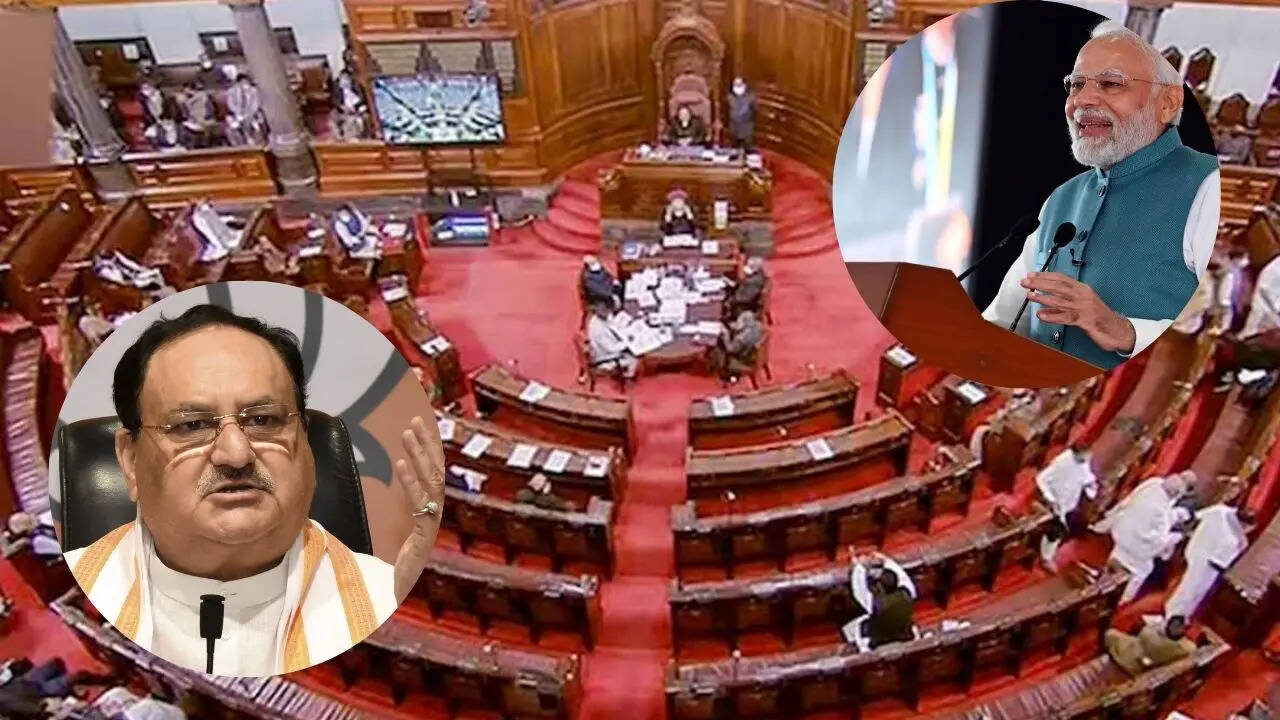 Vicepresidente candidato