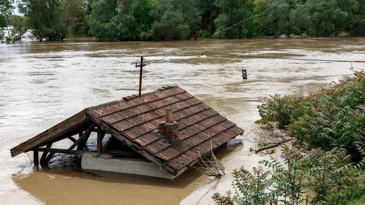bihar flood update