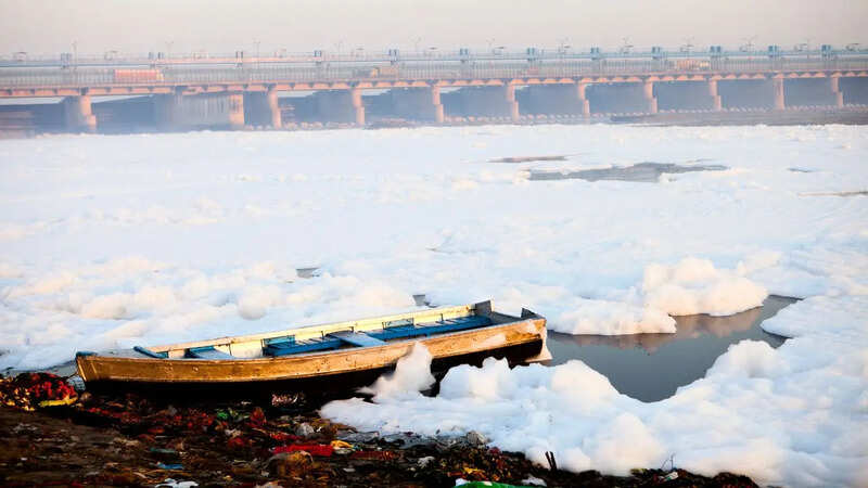 Delhi Yamuna (Photo: Canva)