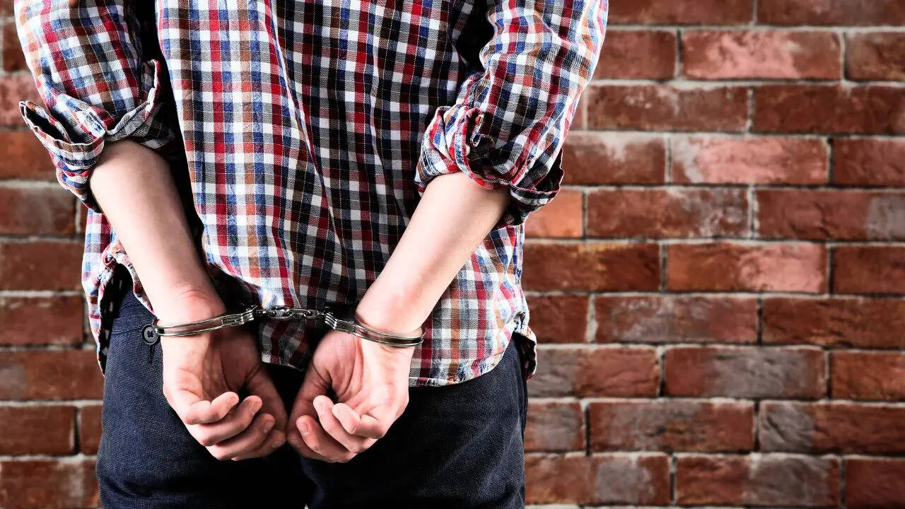 UP Police Operation Langda Nets Multiple Criminals (Representative Photo Canva)