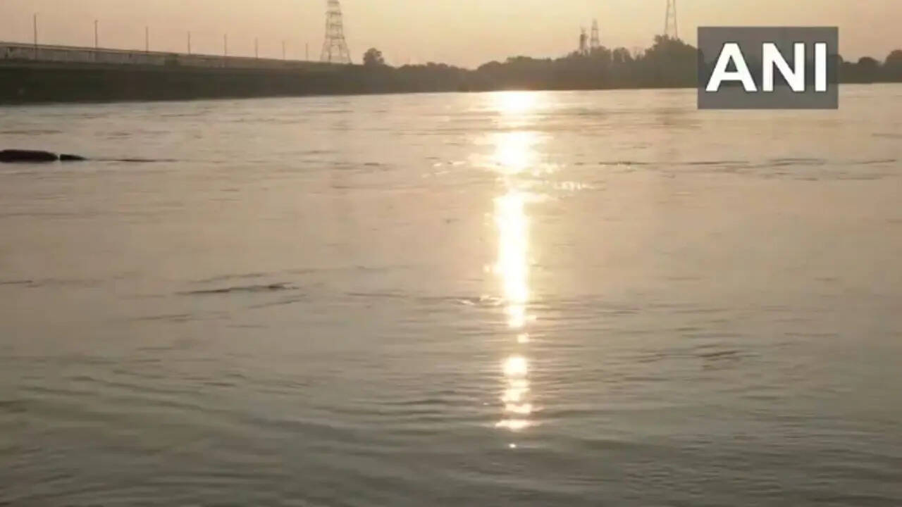 Yamuna
