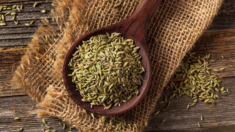 Fennel Seeds Benefits in Hindi