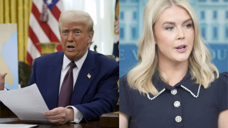 Levitte and Trump AP