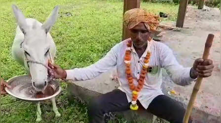 Viral Video: बारिश के लिए गधे को खिलाया गुलाम, फिर उल्टा बैठकर की सवारी, फिर बारिश भी हुई झमाझम