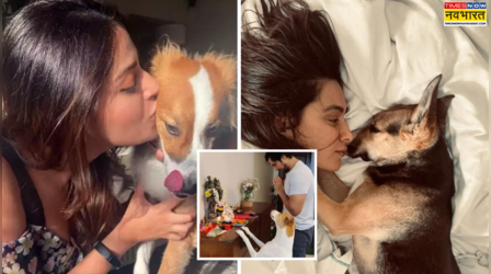 स्ट्रीट डॉग्स के मम्मी-पापा हैं रवीना टंडन-जॉन अब्राहम समेत ये सितारे, दिल के साथ-साथ दी घर में भी जगह