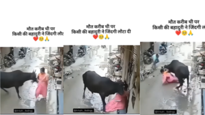 Today Viral Video गली में महिला पर सांड ने किया हमला उठाकर ऐसे पटका देखकर निकल जाएगी चीख