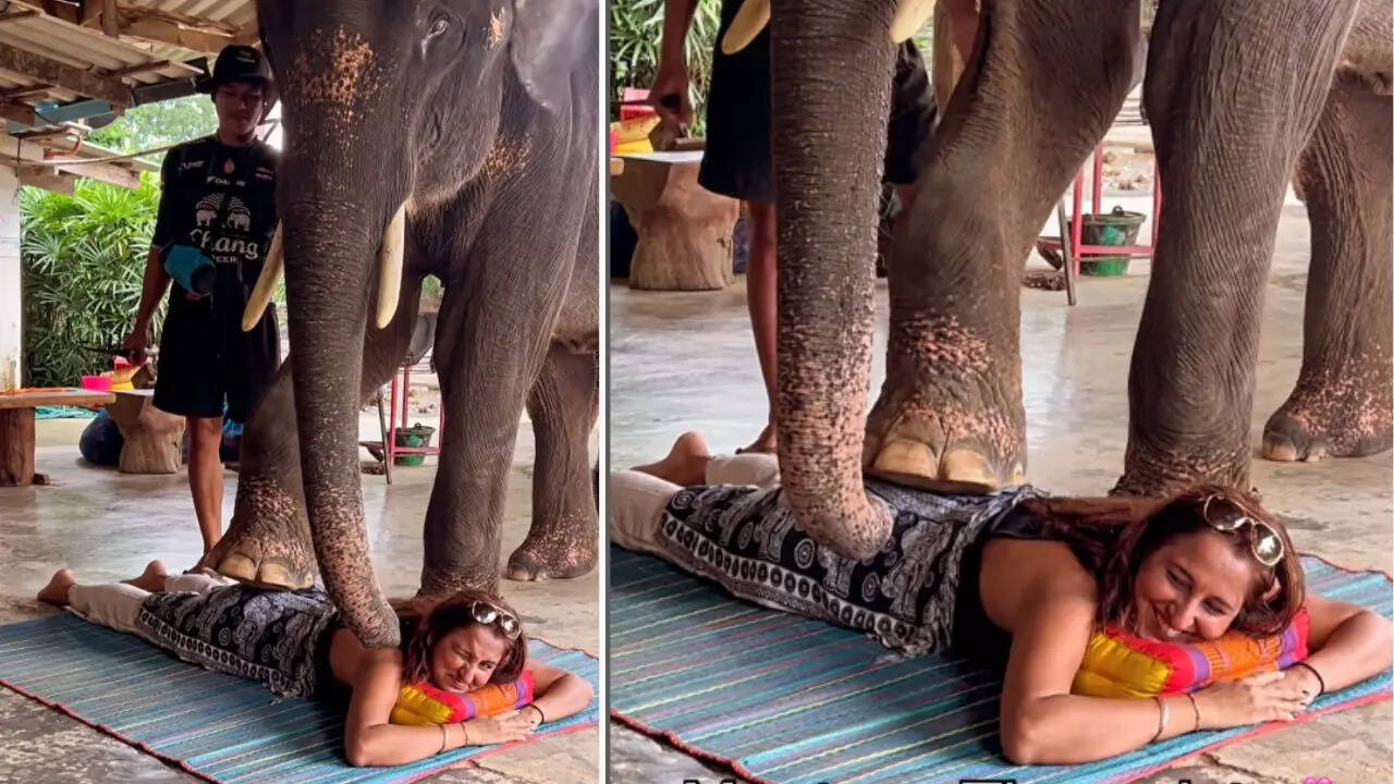 Elephant Massage Video