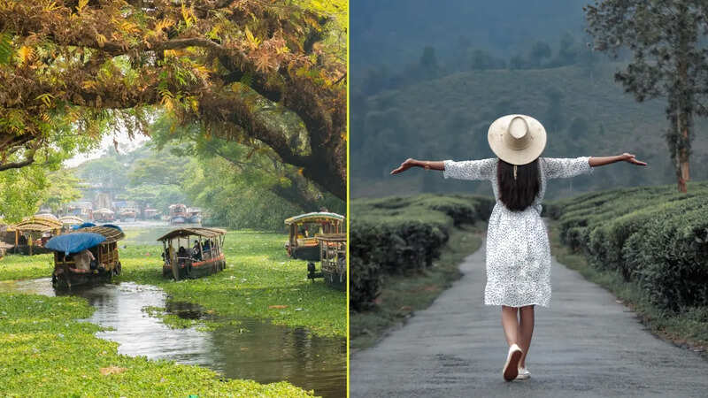 Wayanad Kerala (photo credit canva)