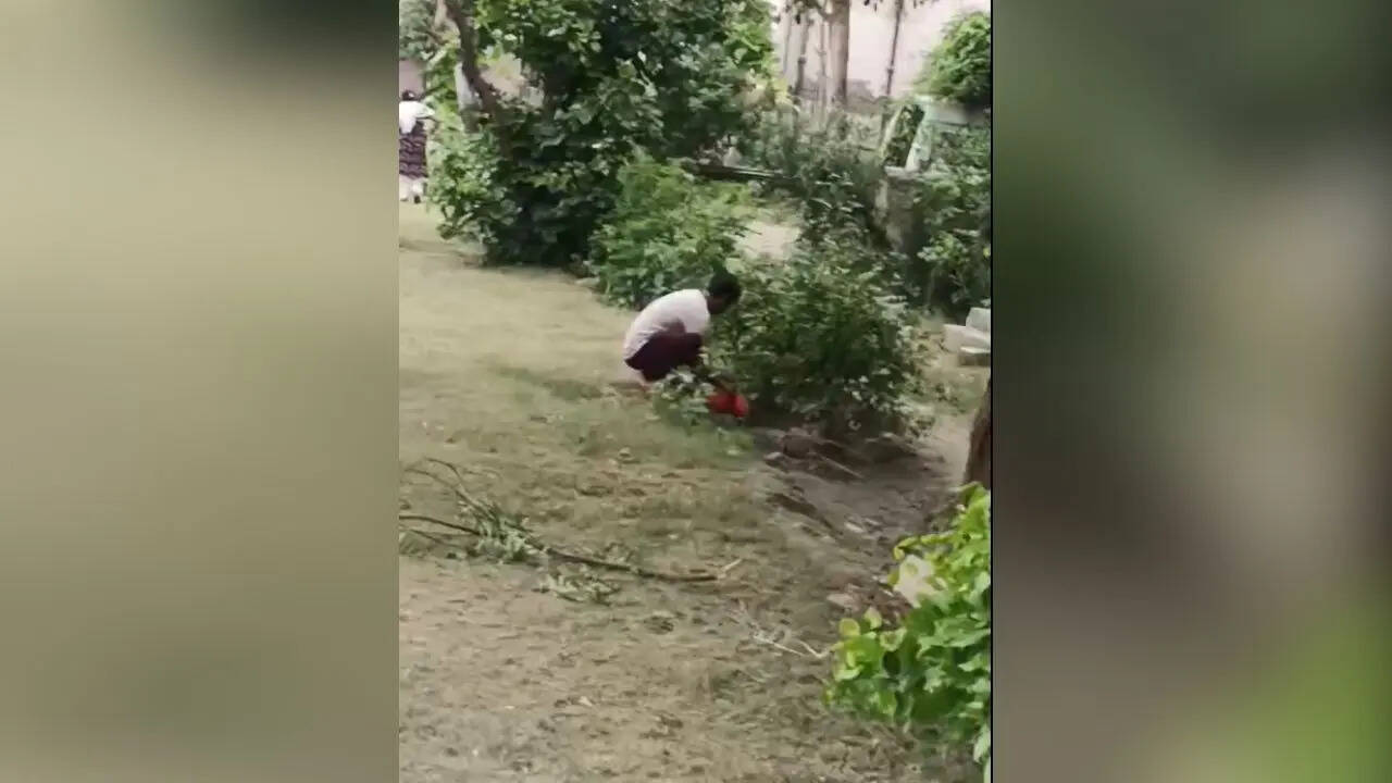 Noida Fetus