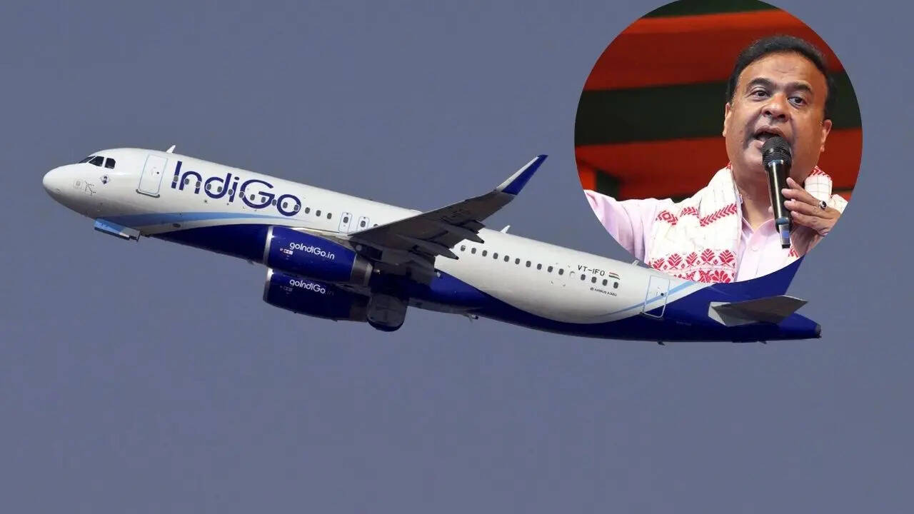 INDIGO FLIGHT