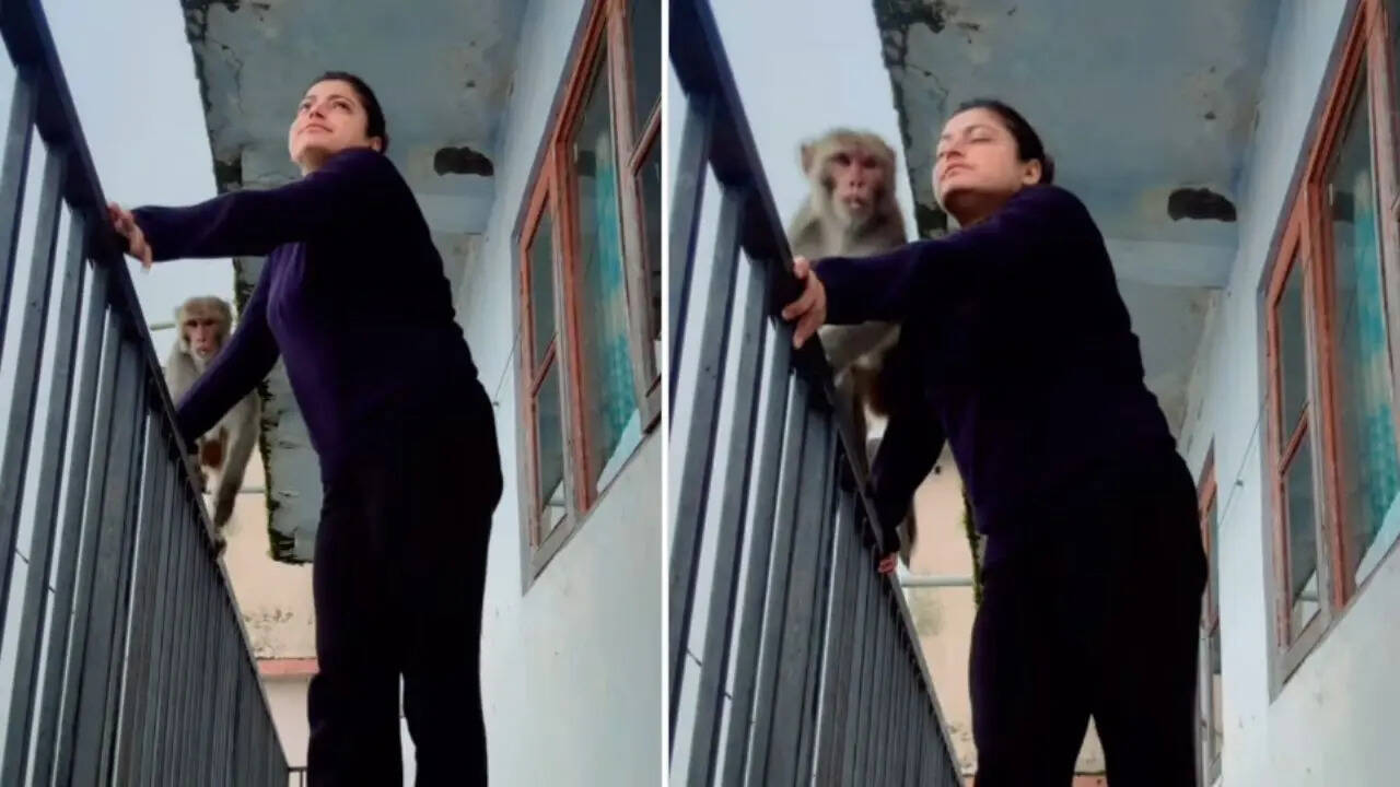 Reels Video (5)