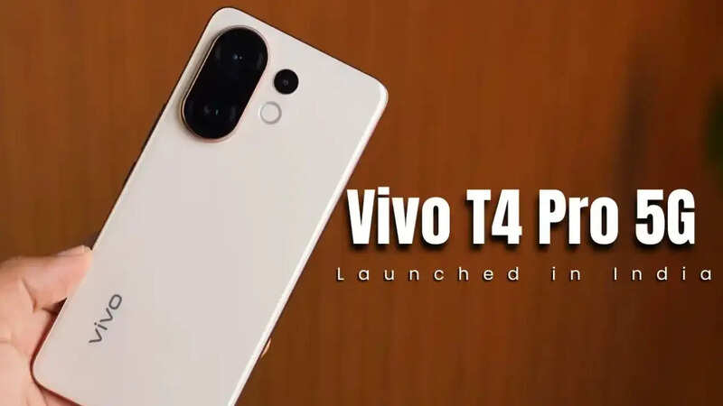 Vivo (6)