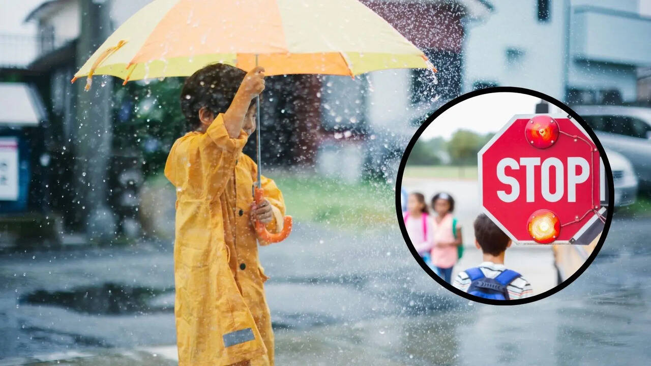 Noida Ghaziabad Faridabad Punjab Jammu Kashmir School Closed at 27 August School Closed Today tomorrow at 27 august check here list of state where school closed