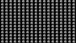 Brain Test बहुत तेज दिमाग है तभी 46 नंबर खोज पाएंगे वरना दो घंटे भी कम पड़ जाएंगे